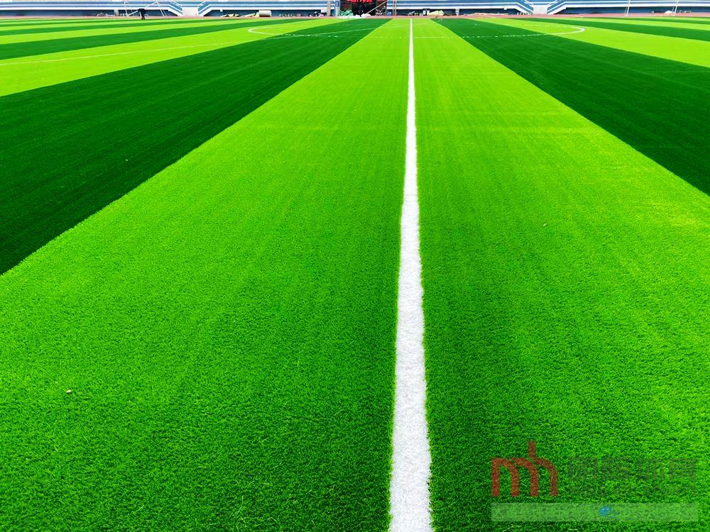 人造草坪免填充人造草坪